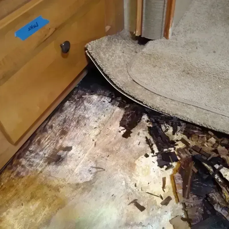 Wood Floor Water Damage in Bridgeport, OH